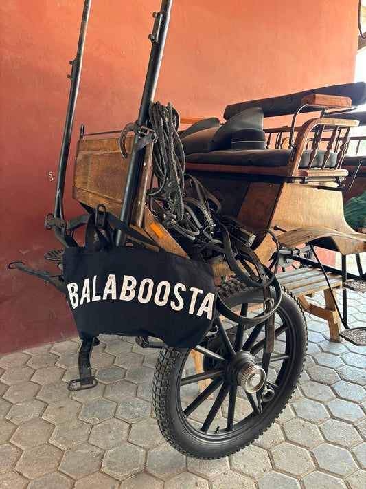 Balaboosta Tote
