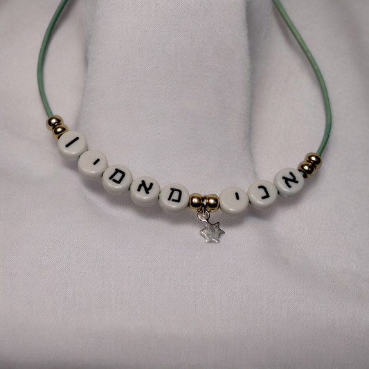 Ani Ma'amin Necklace Sterling Silver Magen David