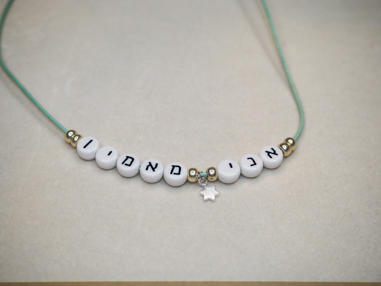 Ani Ma'amin Necklace Sterling Silver Magen David