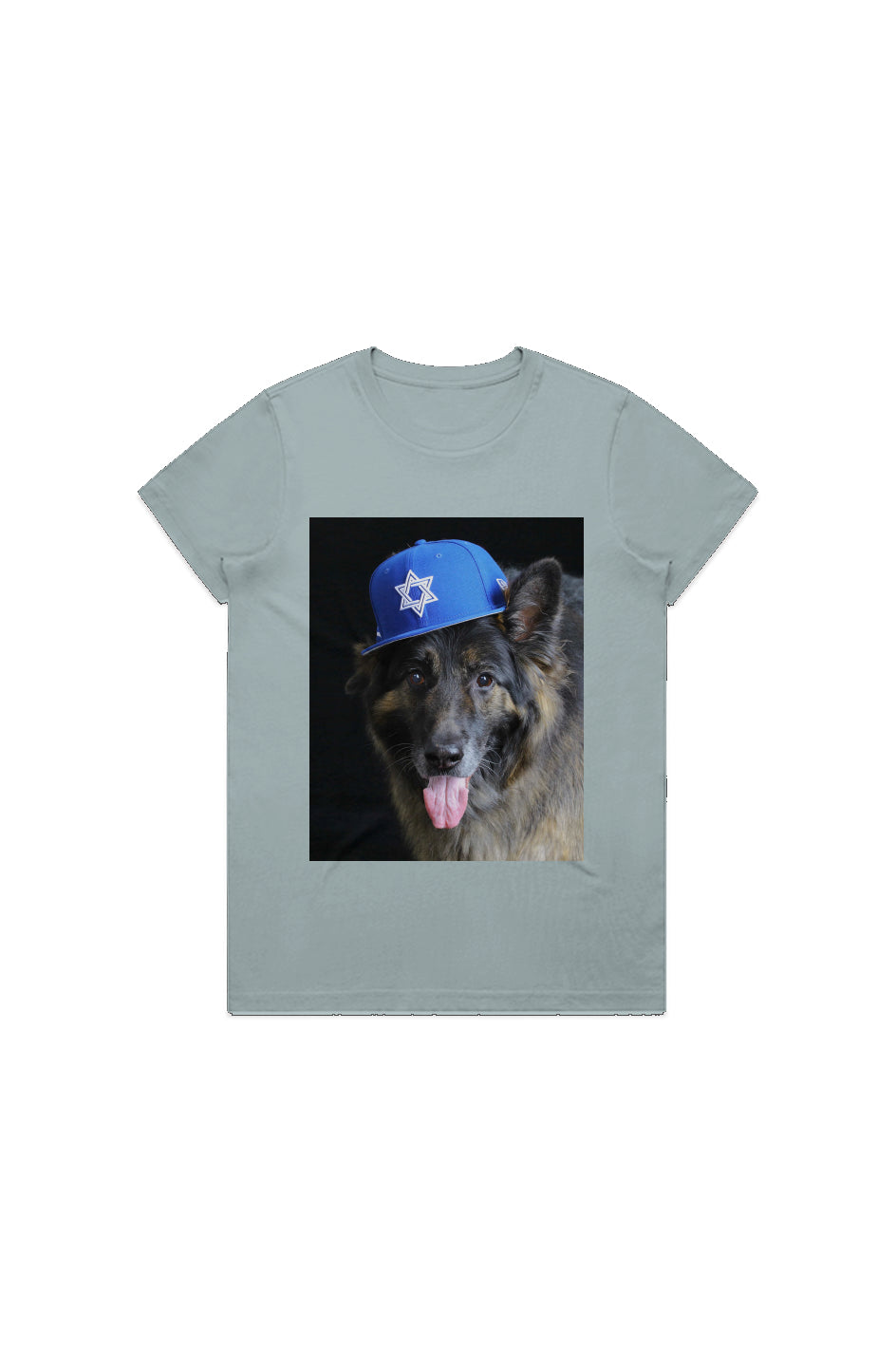 Dogs for Israel Pale blue tee