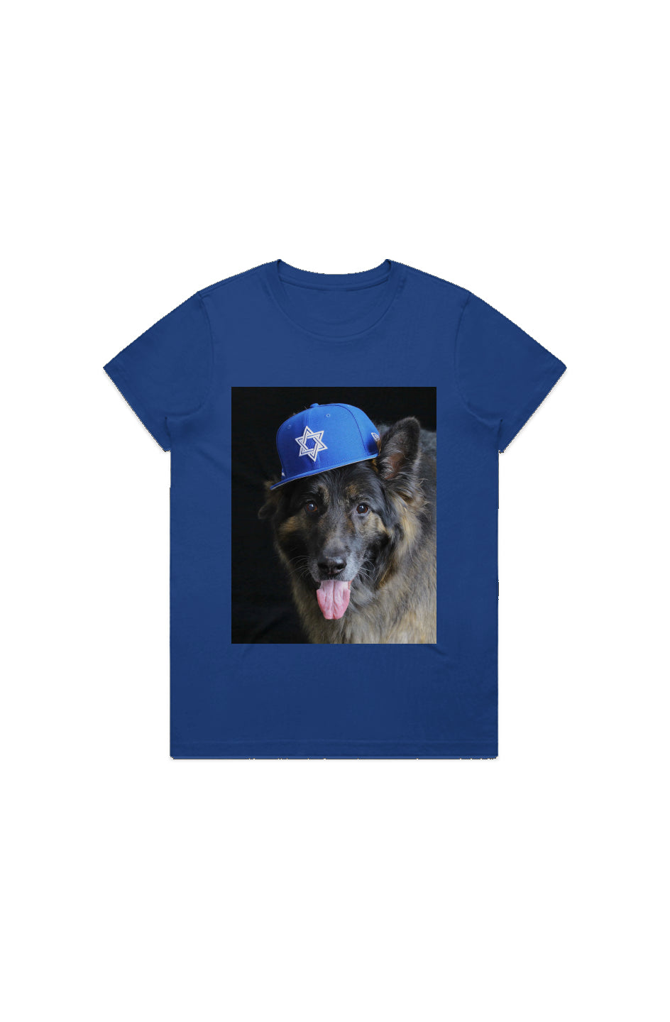 Dogs for Israel Cobalt