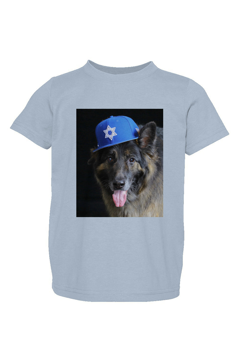 Dogs for Israel todder/kids blue tee