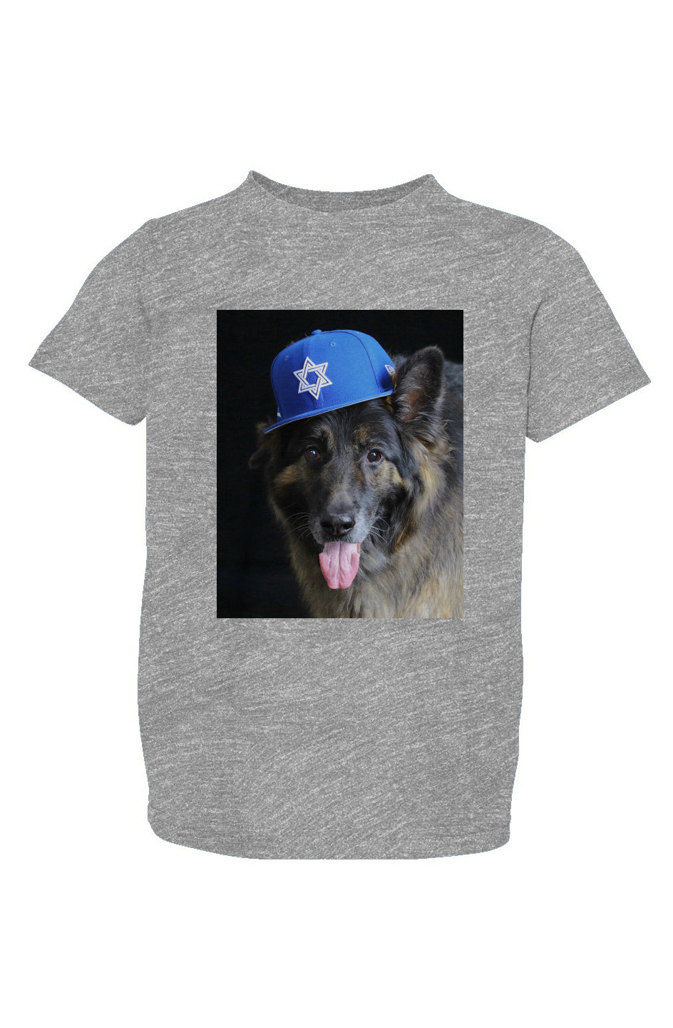 Dogs For Israel Toddler/Kids heather gray