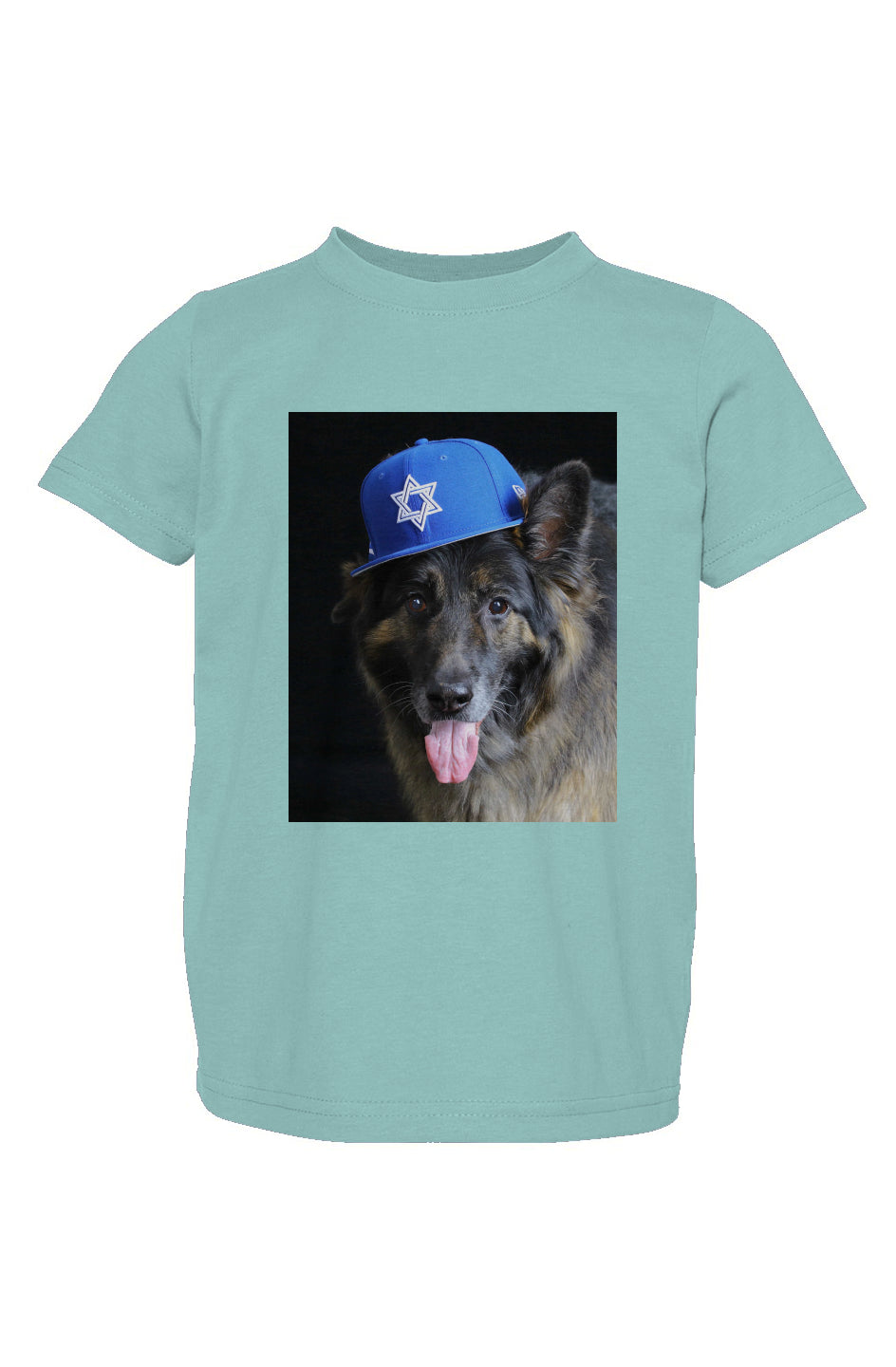 Dogs for Israel toddler/kids sizes bright blue